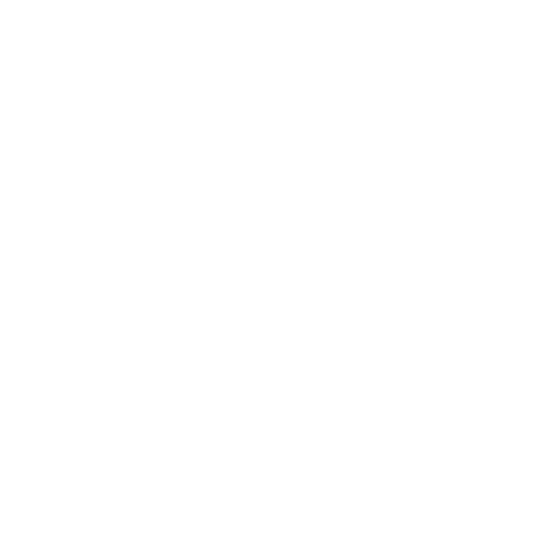 Level Crossing Brewing Company logo