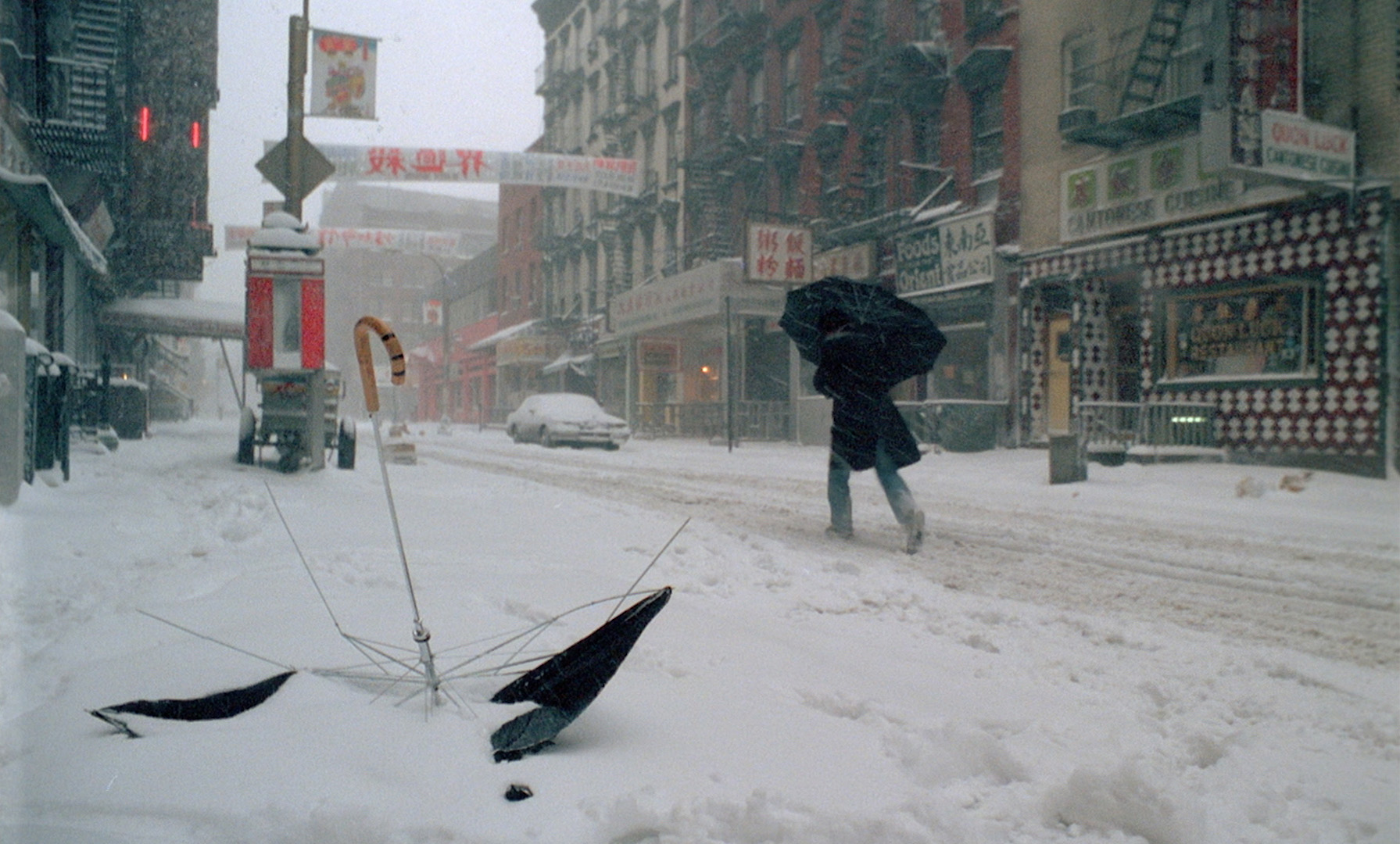 The Illegal Immigrant