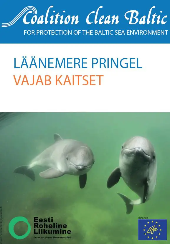 Baltic Harbour Porpoise