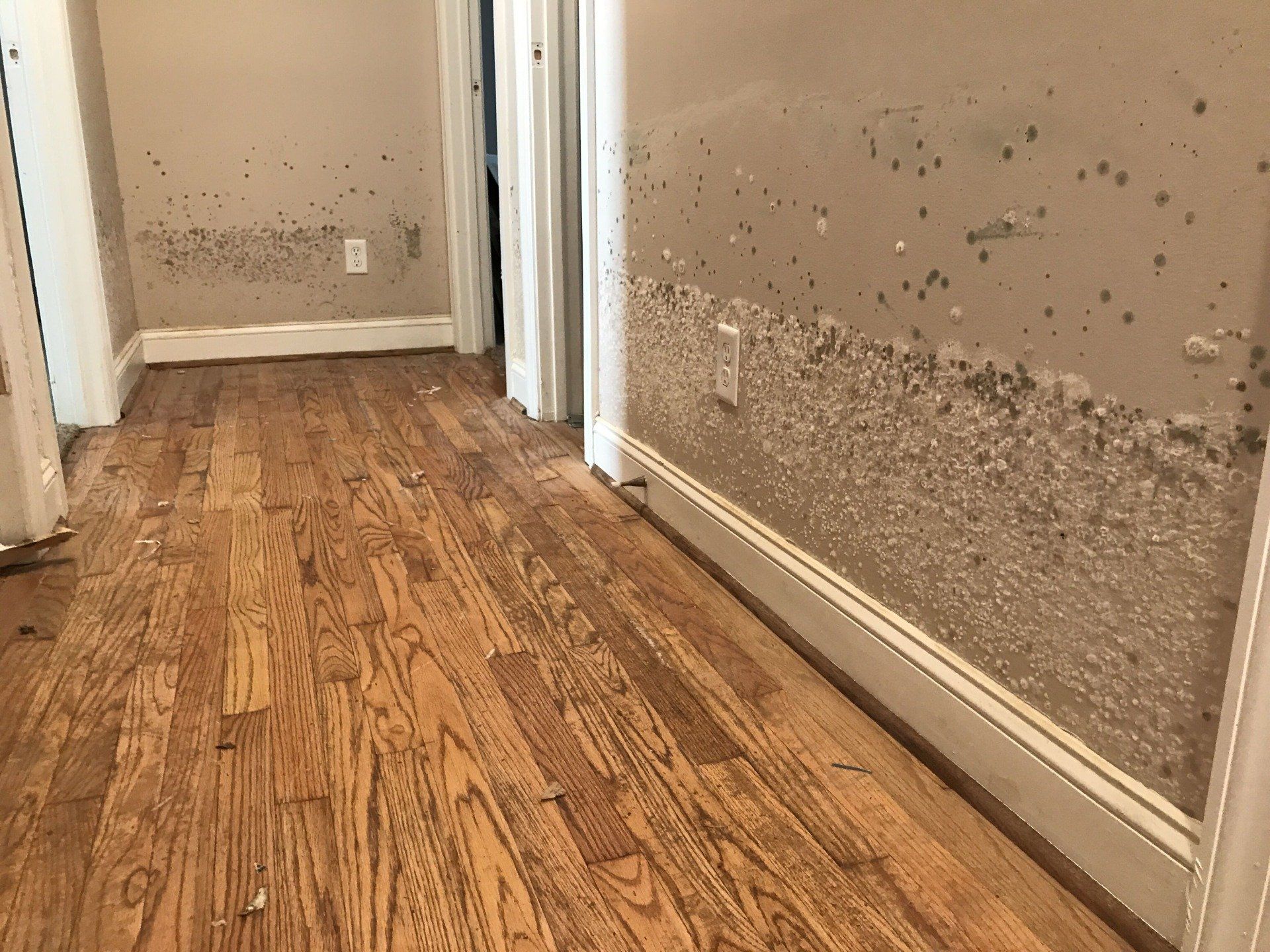 Basement Floor and Wall Crack Repair