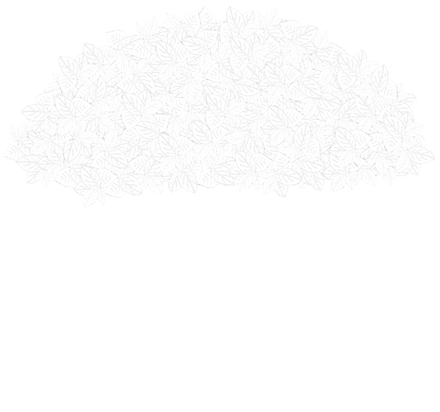 Mordecai Beverage Company logo