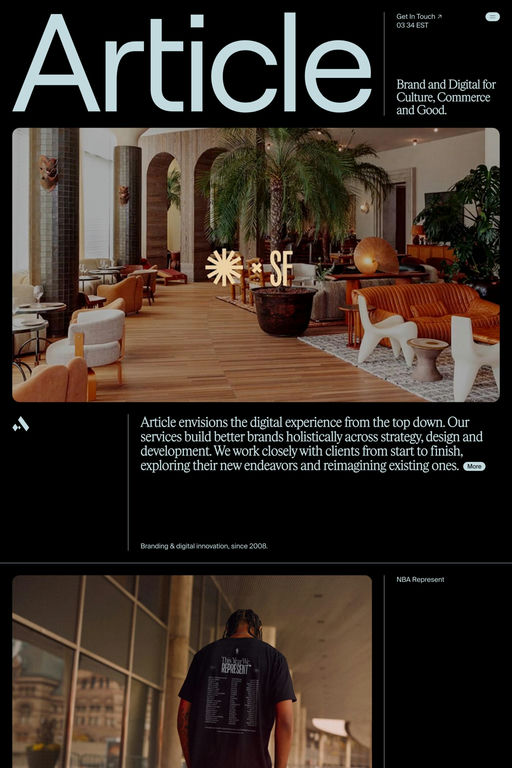 Article website screenshot