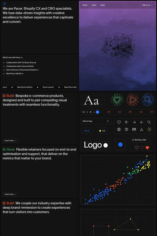 Pacer website screenshot