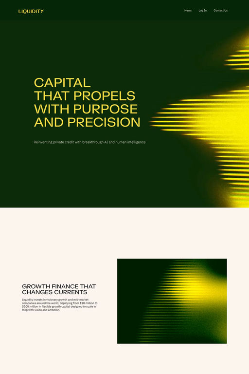 Liquidity website screenshot