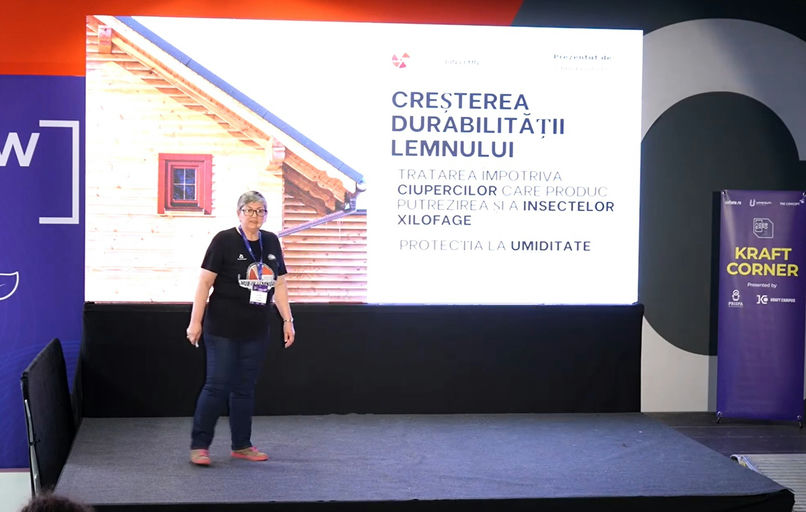 Cum Crești Durabilitatea Lemnului: Protecție împotriva Ciupercilor, Insectelor și Umidității