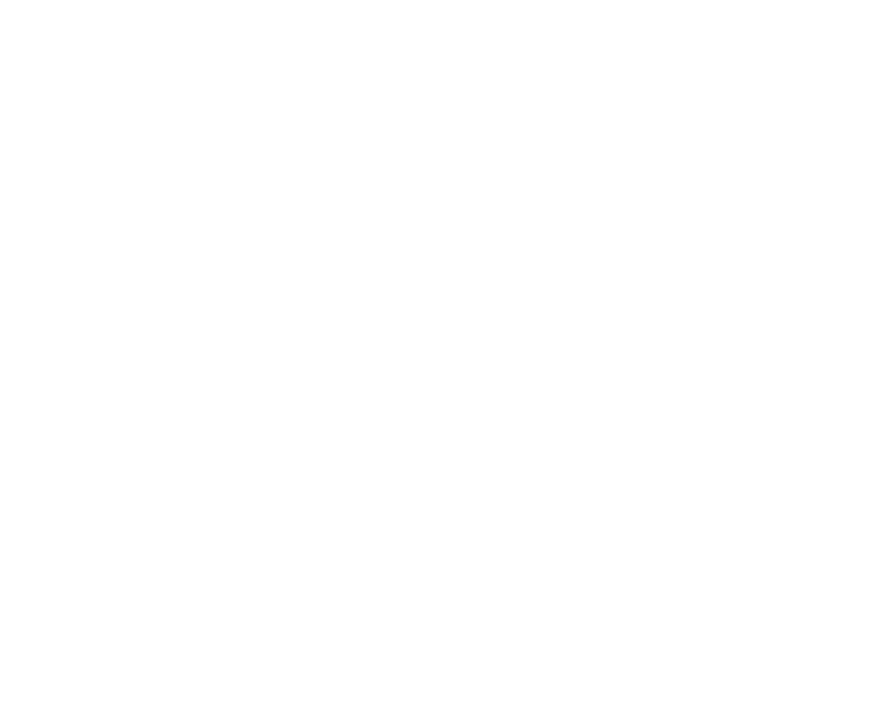 Creative Bear