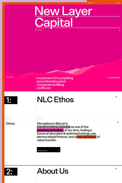 New Layer Capital website screenshot