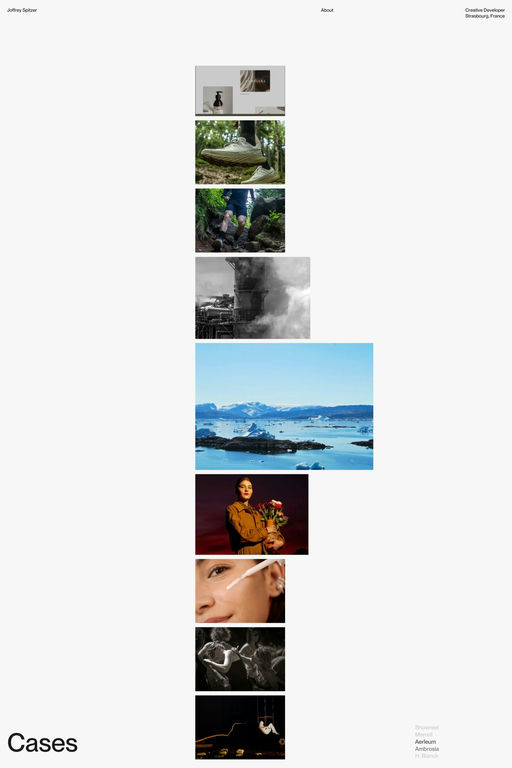 Joffrey Spitzer website screenshot