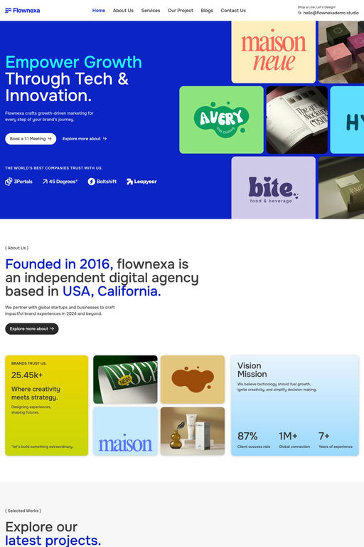 Flownexa template screenshot