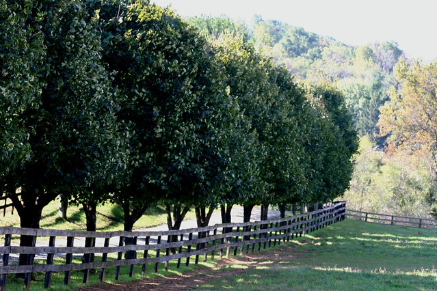 Windy Hill Farm, Inc.