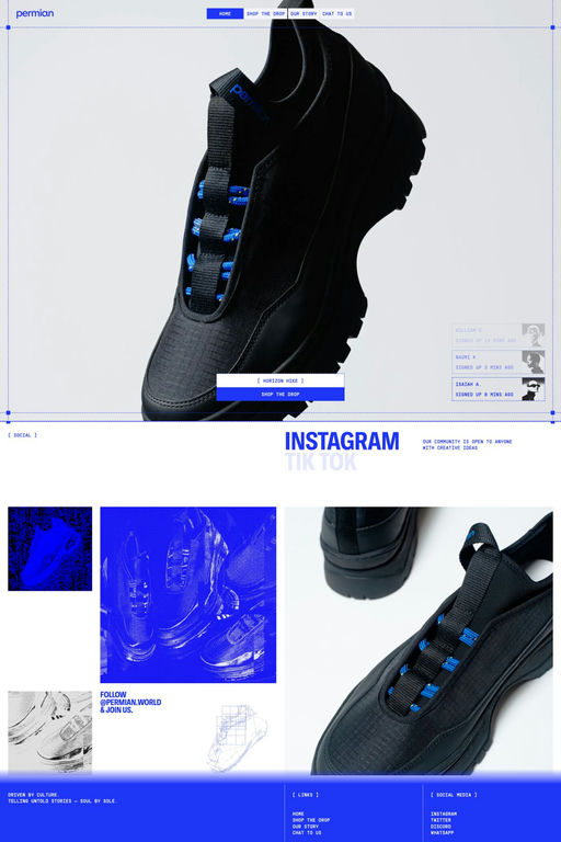 Permian website screenshot