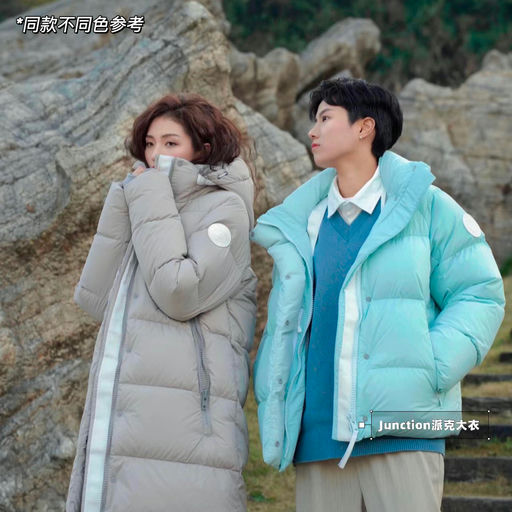 【最美大鹅】5x折起，最后库存