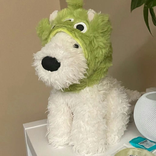 【梦中情狗】断货王大号补货