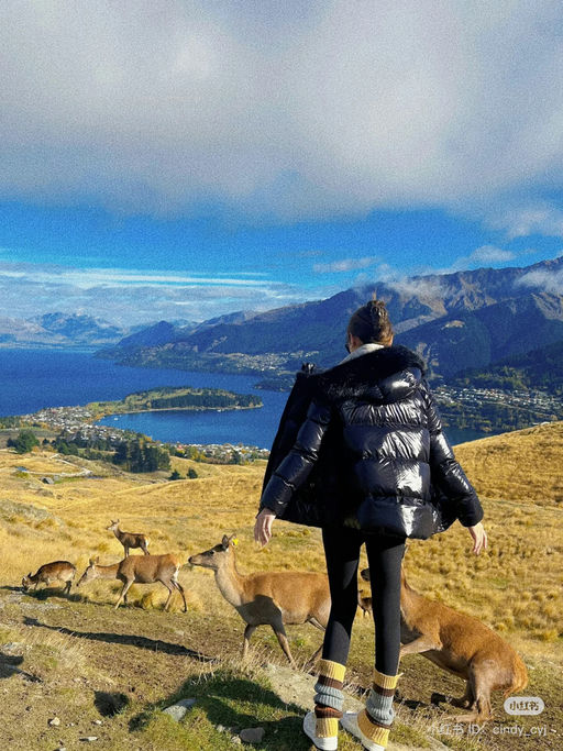 【Bug 67折！】最后一件