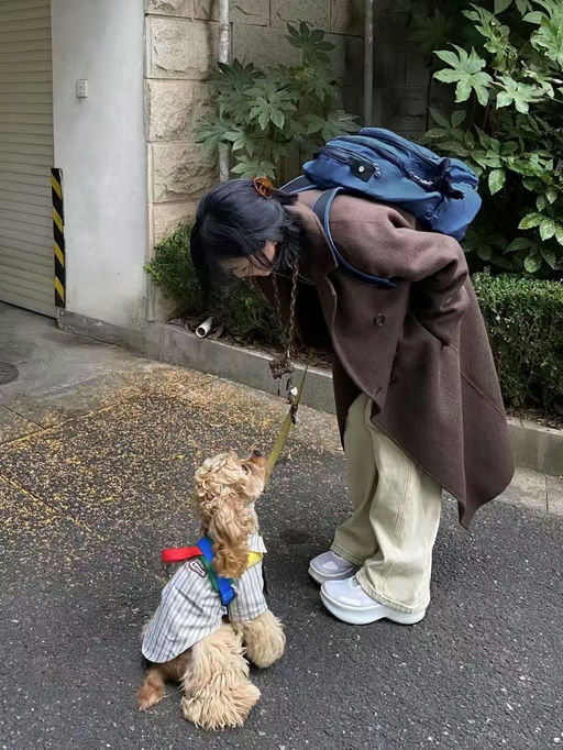 【新年伴手礼】【$25，免运】