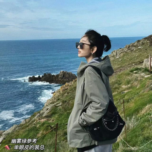 【代购束手无策】始祖鸟Gamma LT，虎尾草绿有货！