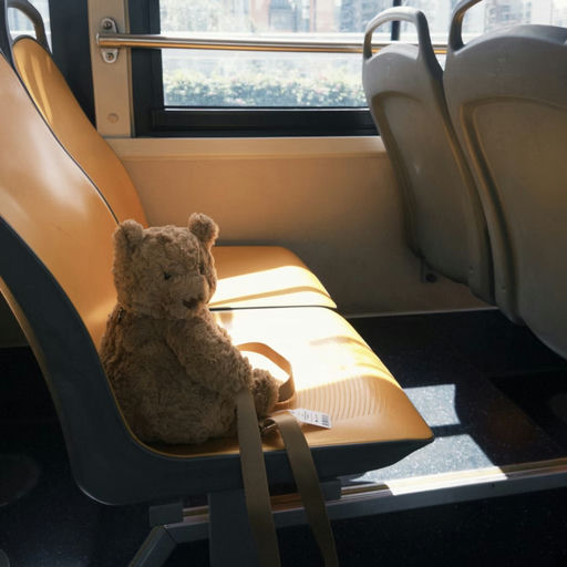 【转瞬即逝！】背包熊补货啦