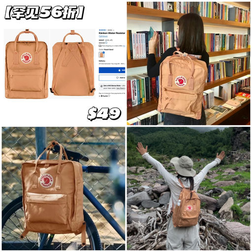 【罕见56折】实用北极狐