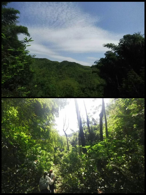 【史低39折！】【女明星拍照利器】