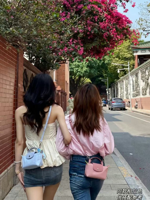 【温柔挂天菜】Longchamp 断货王，迷你饺子包，新色上架