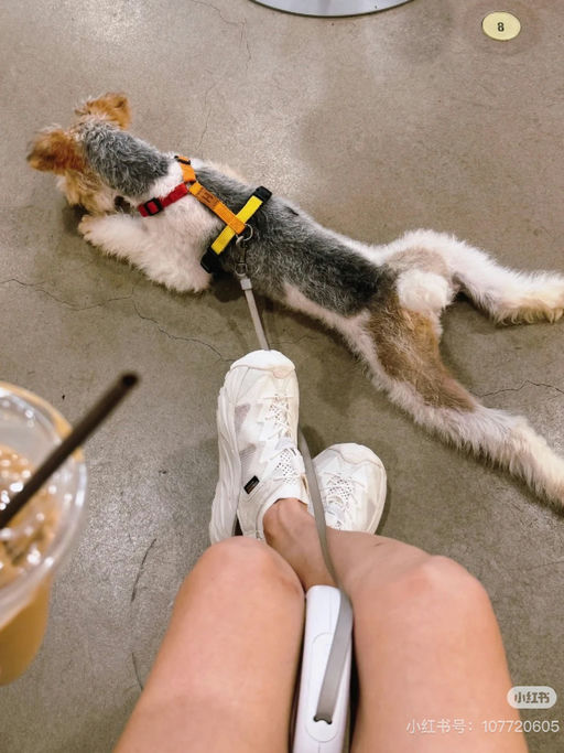 【好过Zappos】史低55折