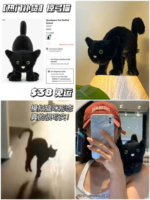 【热门齐补货】写实派惊弓黑猫