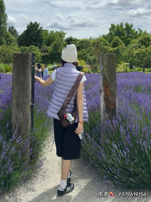 【今晚结束】始祖鸟5折起