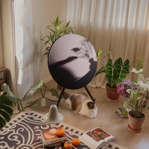 【好过SS】B&O音响，史低价！