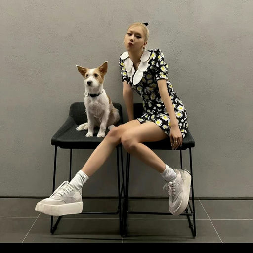 【5.5cm增高】MM6，65折