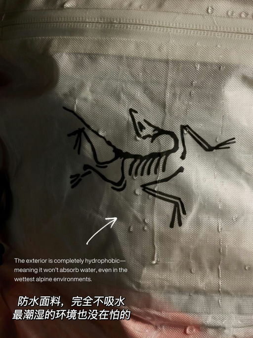 【有史以来最轻最强】国内已抢不到