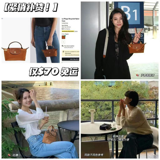 【断货王补货】Longchamp  mini饺子包