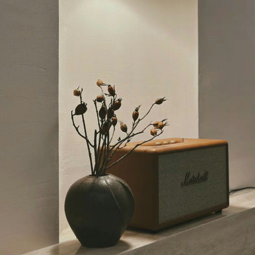 【Marshall近期好价】 8折，$224，免运