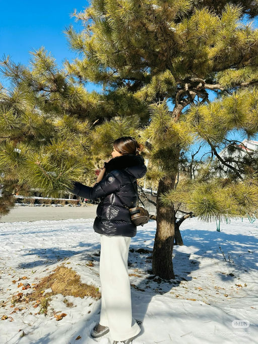 【Bug 67折！】最后一件