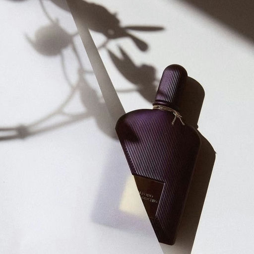 【5折 TF 这里还有】圣诞送礼好选择