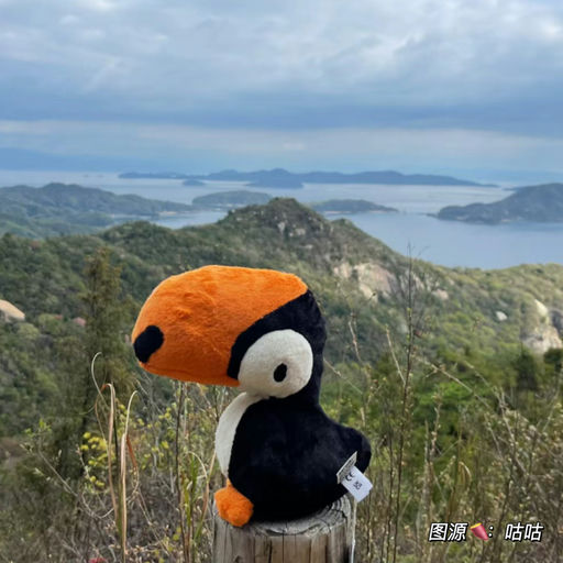 【珍稀品种】Jellycat新品速报