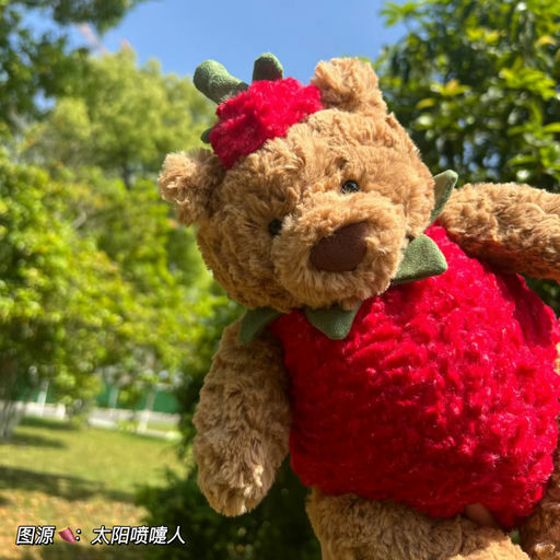 【转瞬即逝！】草莓熊补货了！