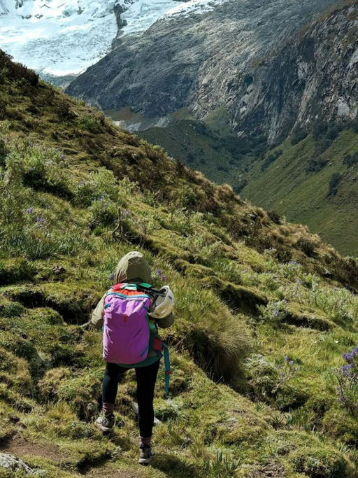 【喵总免托运法宝】时隔一年，8折