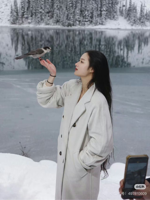 【史低回归！】合35折！