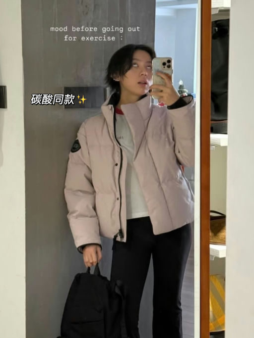 【合7x折】大鹅加新