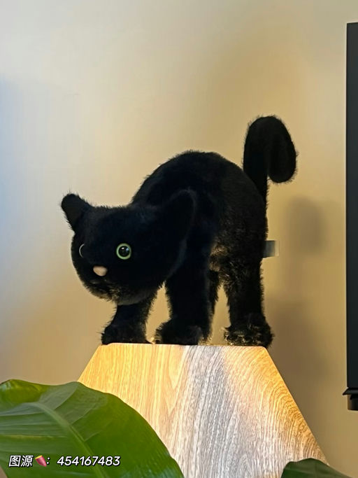【热门齐补货】写实派惊弓黑猫