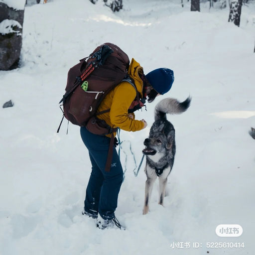 【入门经典】7折，黄金码捡漏