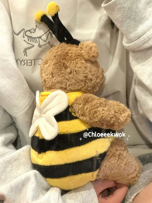 【当季顶流】随时断