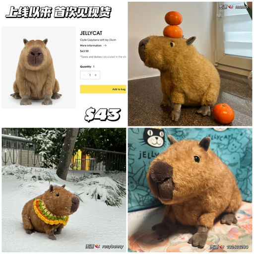 【豚门永存】 首次见有货