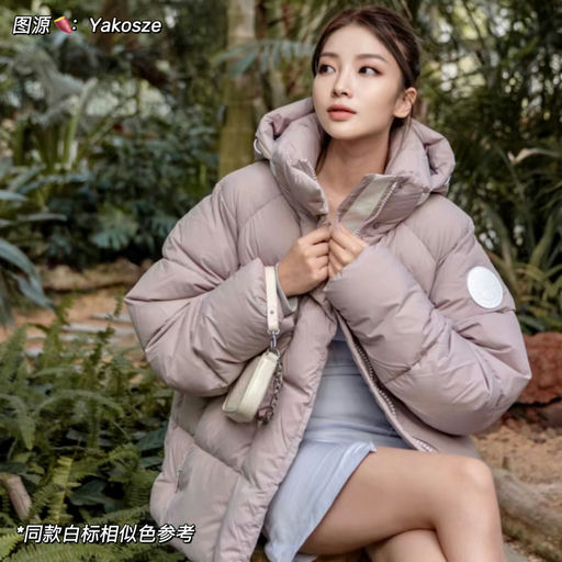 【最美大鹅】5x折起，最后库存