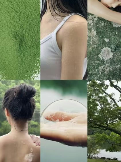 【百合柚子味】【一件免运】