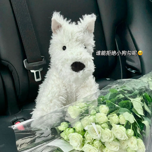 【梦中情狗】断货王大号补货