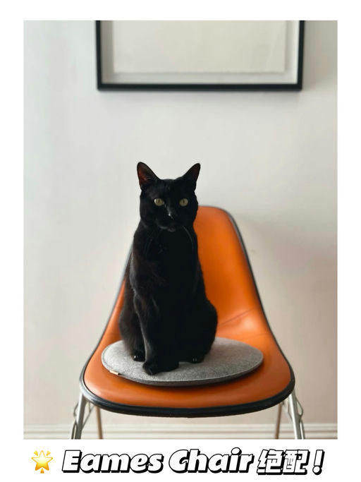 【5折抄底价】喵总最爱屁垫儿~