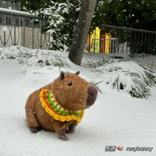 【豚门永存】 首次见有货