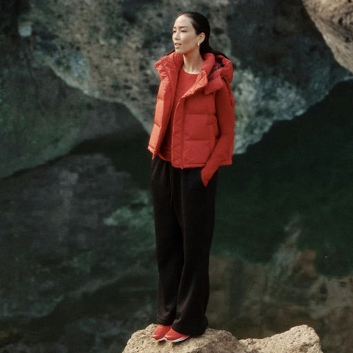 【龙年限定全线下折】