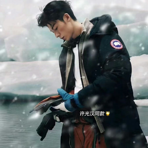 【火速捡漏】大鹅5折起